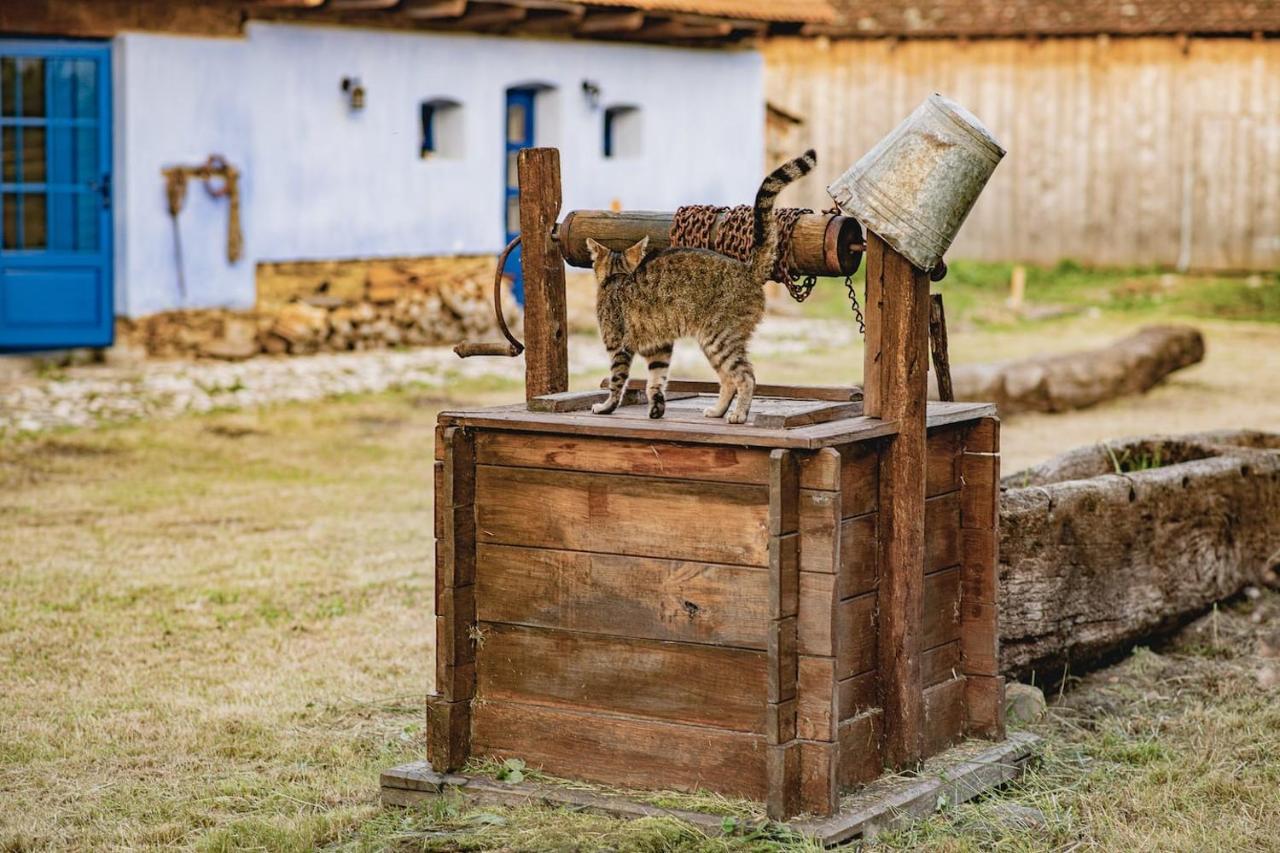 Experience Transylvania Viscri 161A Zewnętrze zdjęcie